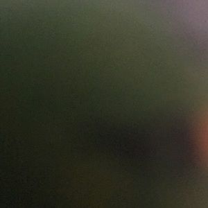 Meet your Posher, Tamara